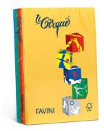 Risma Le Cirque 500 fogli colori assortiti forti formato A4 80 gr