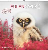 Calendario 2026 Owls cm 30x30