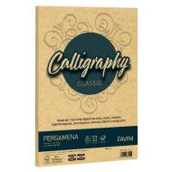 Confezione 50 fogli carta pergamena Calligraphy A4 cm 21x29,7 gr 90 colore oro