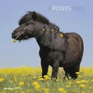 Calendario 2022 Ponies 30x30