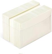 Confezione 100 biglietti e 100 buste formato cm 9x14 avorio