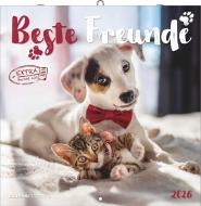 Calendario 2026 Best Friends cm 30x30
