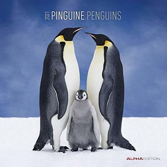 Calendario 2021 Penguins 30x30