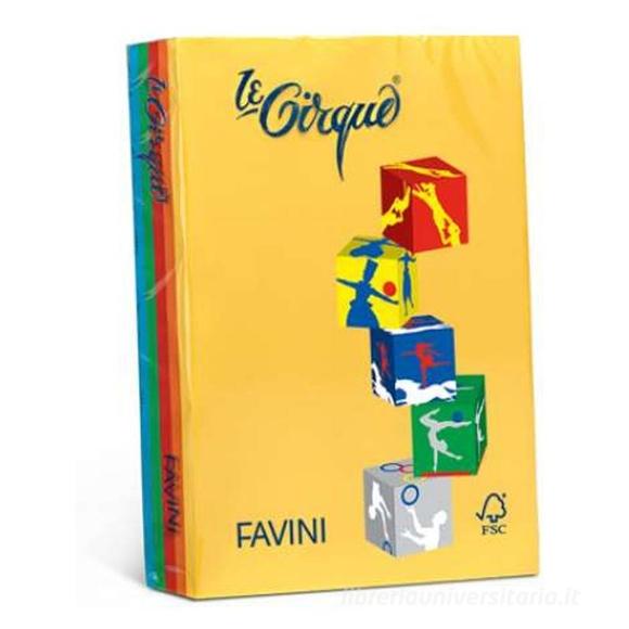 Risma Le Cirque 500 fogli colori assortiti forti formato A4 80 gr
