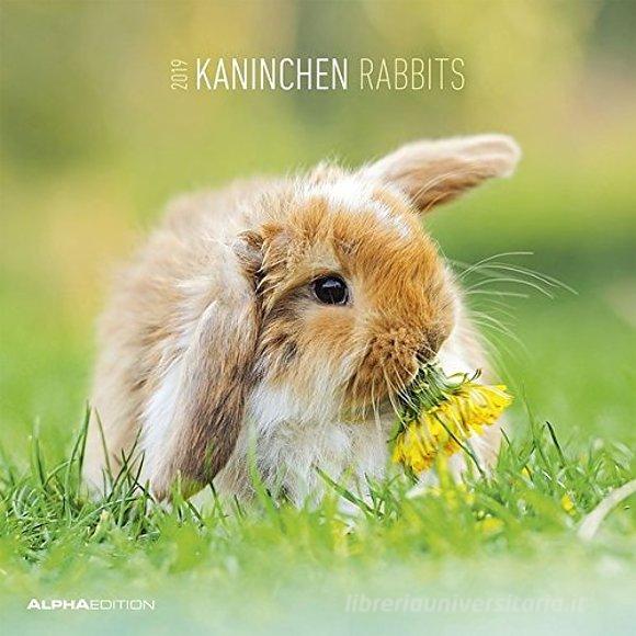 Calendario 2019 Rabbits 30x30 cm