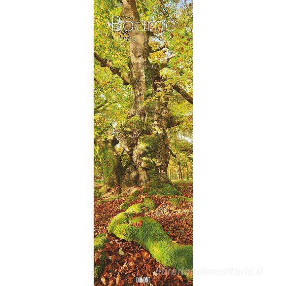 Calendario 2024 Trees cm 34x98
