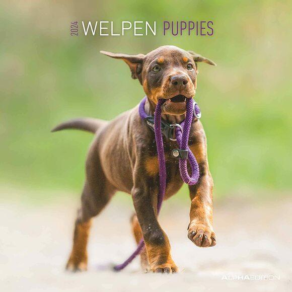 Calendario 2024 Puppies cm 30x30 - Calendario | Libreria Universitaria
