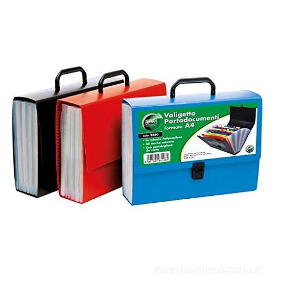Porta documenti con 25 tasche colorate (colori assortiti)