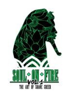 Soul on Fire Vol. 1 di Shane Greer edito da Lulu.com