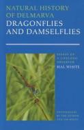Natural History of Delmarva Dragonflies and Damselflies di Harold B. White edito da University of Delaware Press
