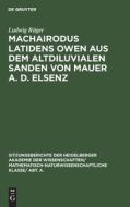 Machairodus Latidens Owen Aus Dem Altdiluvialen Sanden Von Mauer A. D. Elsenz di Ludwig R. Ger edito da Walter de Gruyter