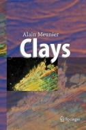 Clays di Alain Meunier edito da Springer Berlin Heidelberg
