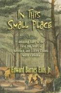 In This Small Place: Amazing Tales of the First 300 Years of Havelock and Craven County, North Carolina di Edward Barnes Ellis edito da McBryde Publishing