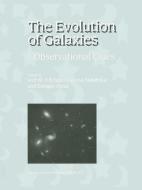 The Evolution of Galaxies edito da Springer Netherlands