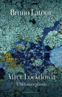 After Lockdown: A Metamorphosis di Latour edito da Polity Press