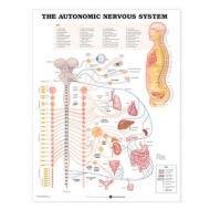 The Autonomic Nervous System Anatomical Chart di Anatomical Chart Company edito da Anatomical Chart Co.