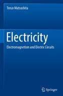 Electricity di Teruo Matsushita edito da Springer Nature Switzerland