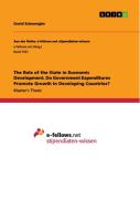 The Role of the State in Economic Development. Do Government Expenditures Promote Growth in Developing Countries? di David Schmengler edito da GRIN Verlag