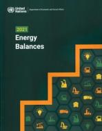 2021 Energy Balances edito da Snowballpublishing.com