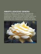 Amaryllidaceae genera di Books Llc edito da Books LLC, Reference Series