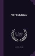 Why Prohibition! di Charles Stelzle edito da Palala Press