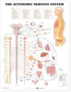 The Autonomic Nervous System Anatomical Chart di 8026pu edito da Anatomical Chart Co.