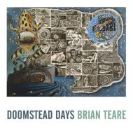 Doomstead Days di Brian Teare edito da NIGHTBOAT BOOKS