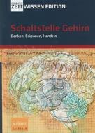 Schaltstelle Gehirn - Denken, Erkennen, Handeln edito da Spektrum Akademischer Verlag
