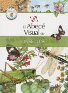 El Abece Visual de los Insectos = The Illustrated Basics of Insects edito da SANTILLANA