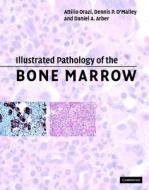 Illustrated Pathology of the Bone Marrow di Attilio Orazi edito da Cambridge University Press