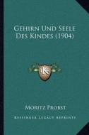 Gehirn Und Seele Des Kindes (1904) di Moritz Probst edito da Kessinger Publishing