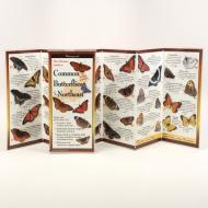 Common Butterflies of the Northeast di Rick Cech edito da Steven M. Lewers & Associates