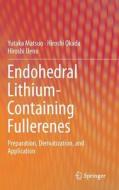 Endohedral Lithium-containing Fullerenes di Yutaka Matsuo, Hiroshi Okada, Hiroshi Ueno edito da Springer Singapore