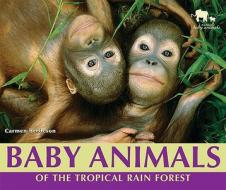 Baby Animals of the Tropical Rain Forest di Carmen Bredeson edito da Enslow Elementary