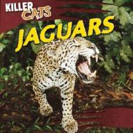 Jaguars di Grace Vail edito da Gareth Stevens Publishing