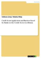 Credit Score Application and Barriers Faced by Banks in the Credit Sector in Albania di Rebeka Ribaj, Valbona Çinaj edito da GRIN Verlag