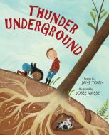 Thunder Underground di Jane Yolen edito da WORDSONG