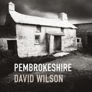 Pembrokeshire: By David Wilson di David Wilson edito da GRAFFEG