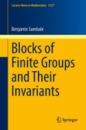 Blocks of Finite Groups and Their Invariants di Benjamin Sambale edito da Springer-Verlag GmbH