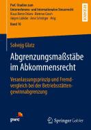 Abgrenzungsmaßstäbe im Abkommensrecht di Solvejg Glatz edito da Springer-Verlag GmbH