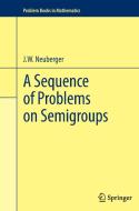 A Sequence of Problems on Semigroups di John Neuberger edito da Springer New York
