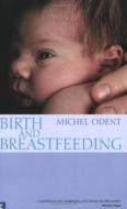 Birth and Breastfeeding di Michel Odent edito da Clairview Books