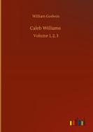 Caleb Williams di William Godwin edito da Outlook Verlag