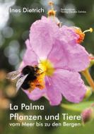 La Palma. Pflanzen und Tiere vom Meer bis zu den Bergen di Dietrich Ines edito da Konkursbuch Verlag