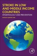 Stroke in Low and Middle Income Countries: Epidemiology and Prevention edito da ACADEMIC PR INC