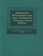 Hebraisches Worterbuch Zum Alten Testamente di Bernhard Stade, Carl Gustav Adolf Siegfried edito da Nabu Press