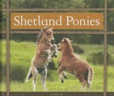 Shetland Ponies di Pamela Dell edito da Child's World