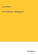 Twelve Months in Madagascar di Joseph Mullens edito da Anatiposi Verlag