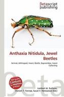 Anthaxia Nitidula, Jewel Beetles edito da Betascript Publishing
