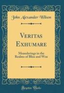Veritas Exhumare: Meanderings in the Realms of Bliss and Woe (Classic Reprint) di John Alexander Wilson edito da Forgotten Books